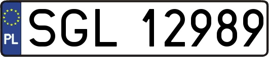 SGL12989