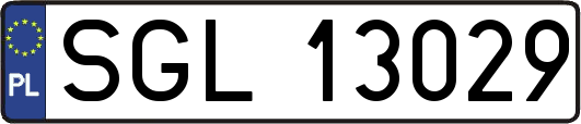 SGL13029