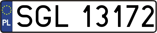 SGL13172
