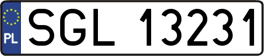 SGL13231
