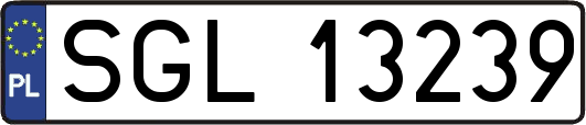 SGL13239