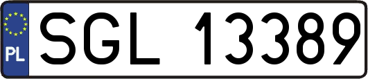 SGL13389