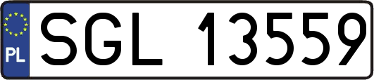 SGL13559