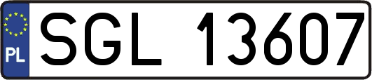 SGL13607