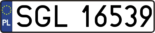 SGL16539