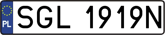 SGL1919N