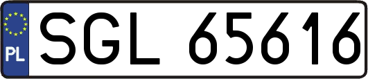 SGL65616