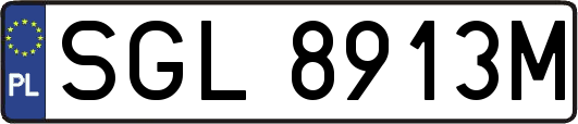SGL8913M