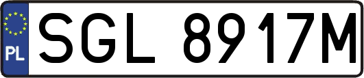 SGL8917M