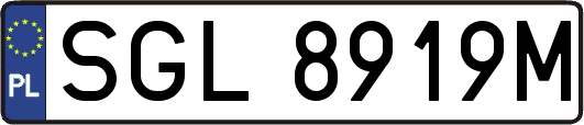 SGL8919M