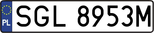 SGL8953M