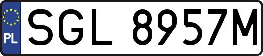 SGL8957M