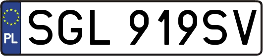 SGL919SV