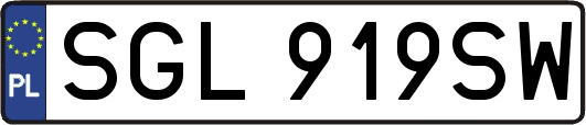 SGL919SW