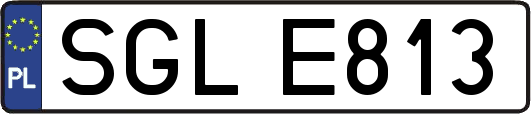 SGLE813