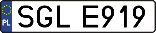 SGLE919