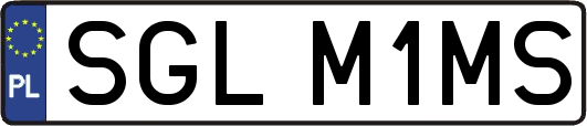 SGLM1MS