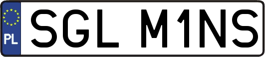 SGLM1NS