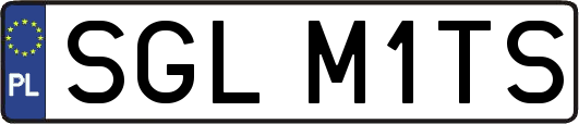 SGLM1TS