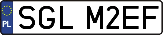 SGLM2EF