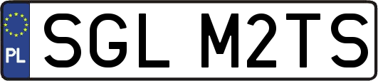 SGLM2TS