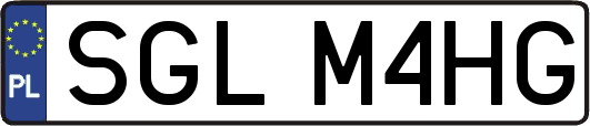 SGLM4HG