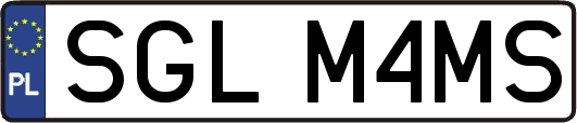 SGLM4MS
