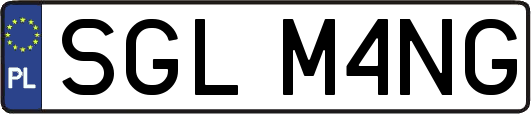 SGLM4NG