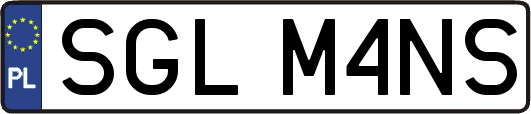 SGLM4NS