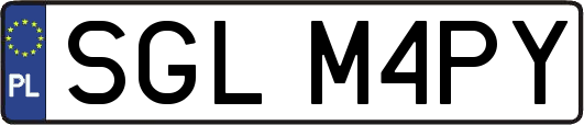 SGLM4PY