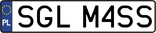 SGLM4SS