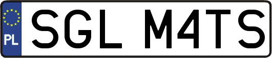 SGLM4TS