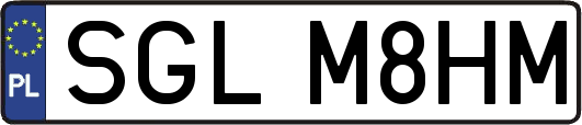 SGLM8HM