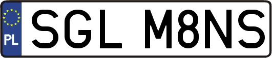 SGLM8NS