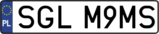 SGLM9MS