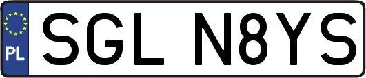 SGLN8YS