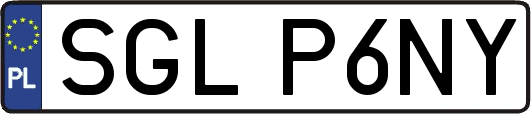 SGLP6NY