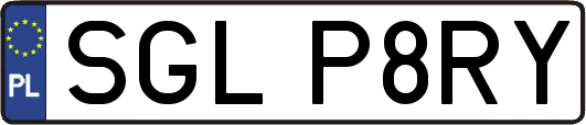 SGLP8RY