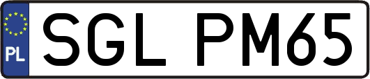 SGLPM65