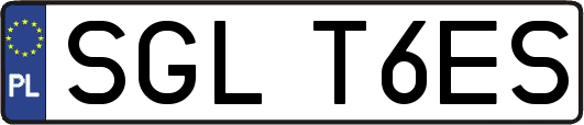 SGLT6ES