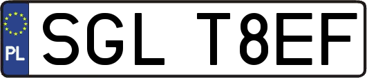 SGLT8EF