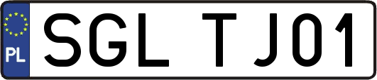 SGLTJ01