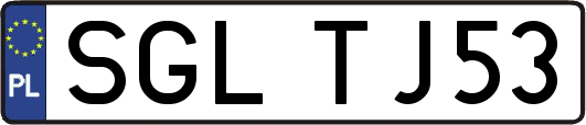 SGLTJ53