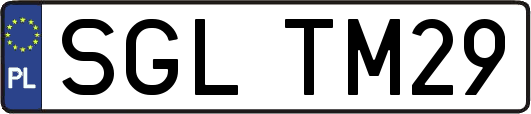 SGLTM29