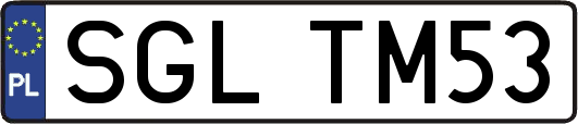 SGLTM53