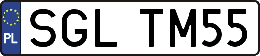 SGLTM55