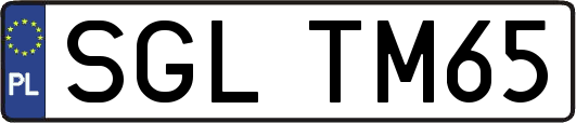 SGLTM65