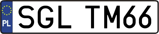 SGLTM66