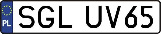 SGLUV65