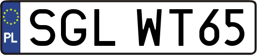 SGLWT65